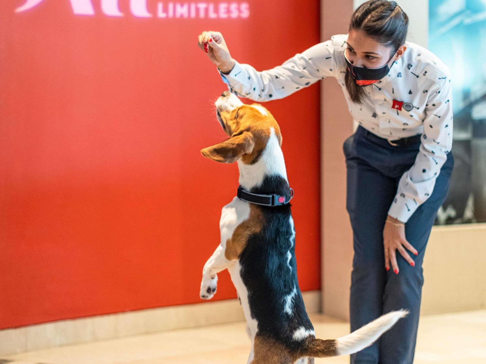 Hotel Ibis Hauptbahnhof 3*