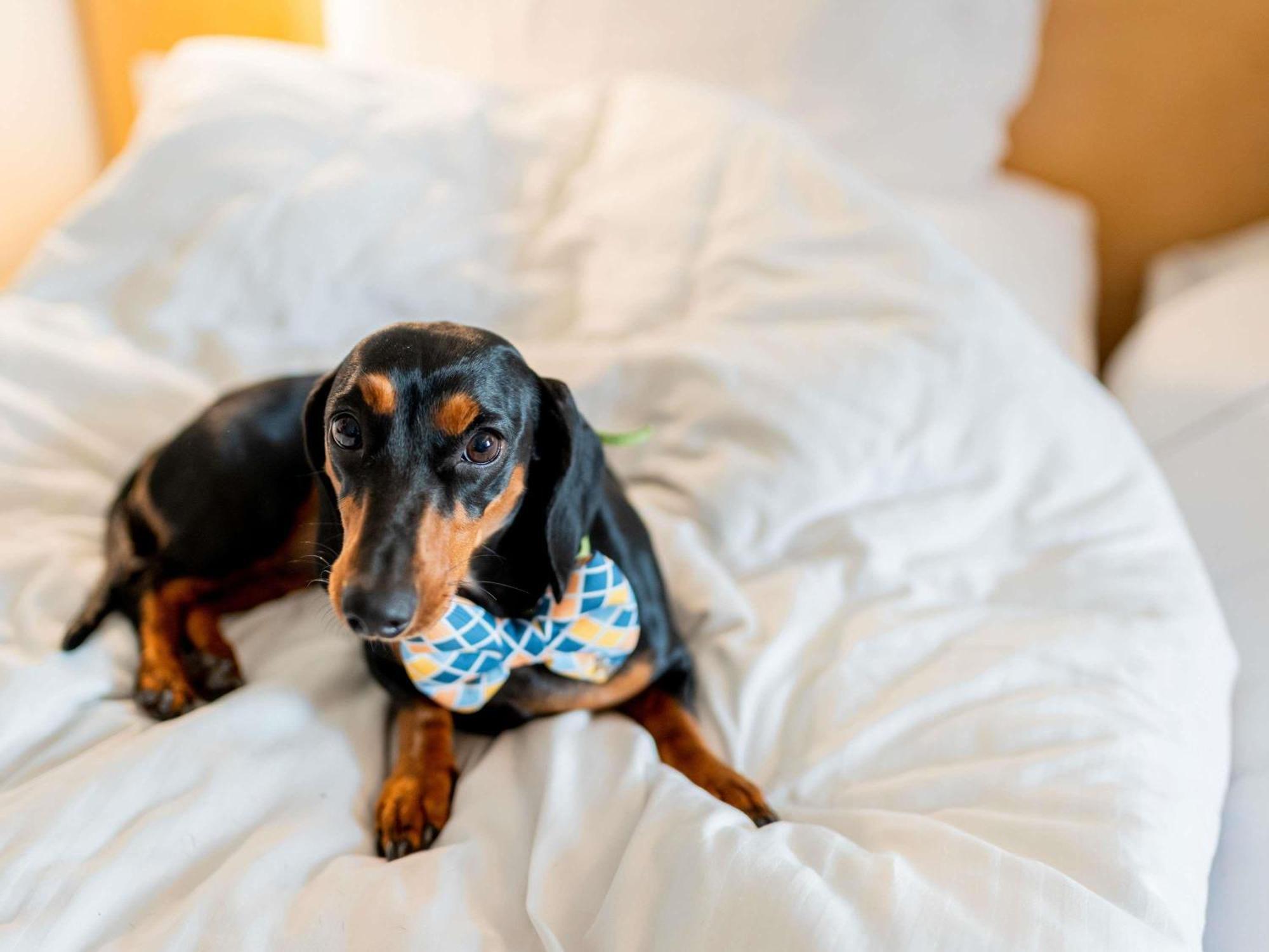 Hotel Ibis Hauptbahnhof 3*