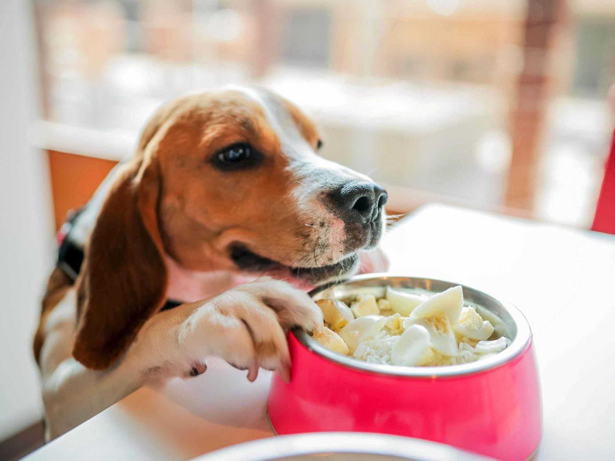 Hotel Ibis Hauptbahnhof
